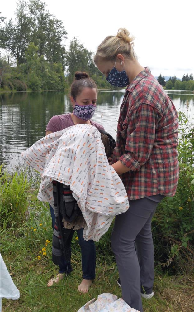 Bald Eagle Rescue Lake 2020