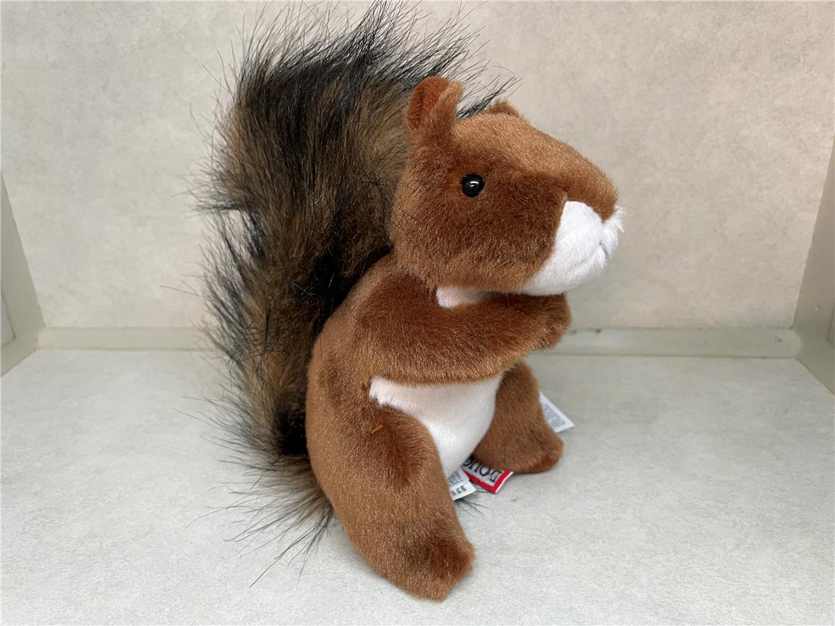 Red Squirrel 