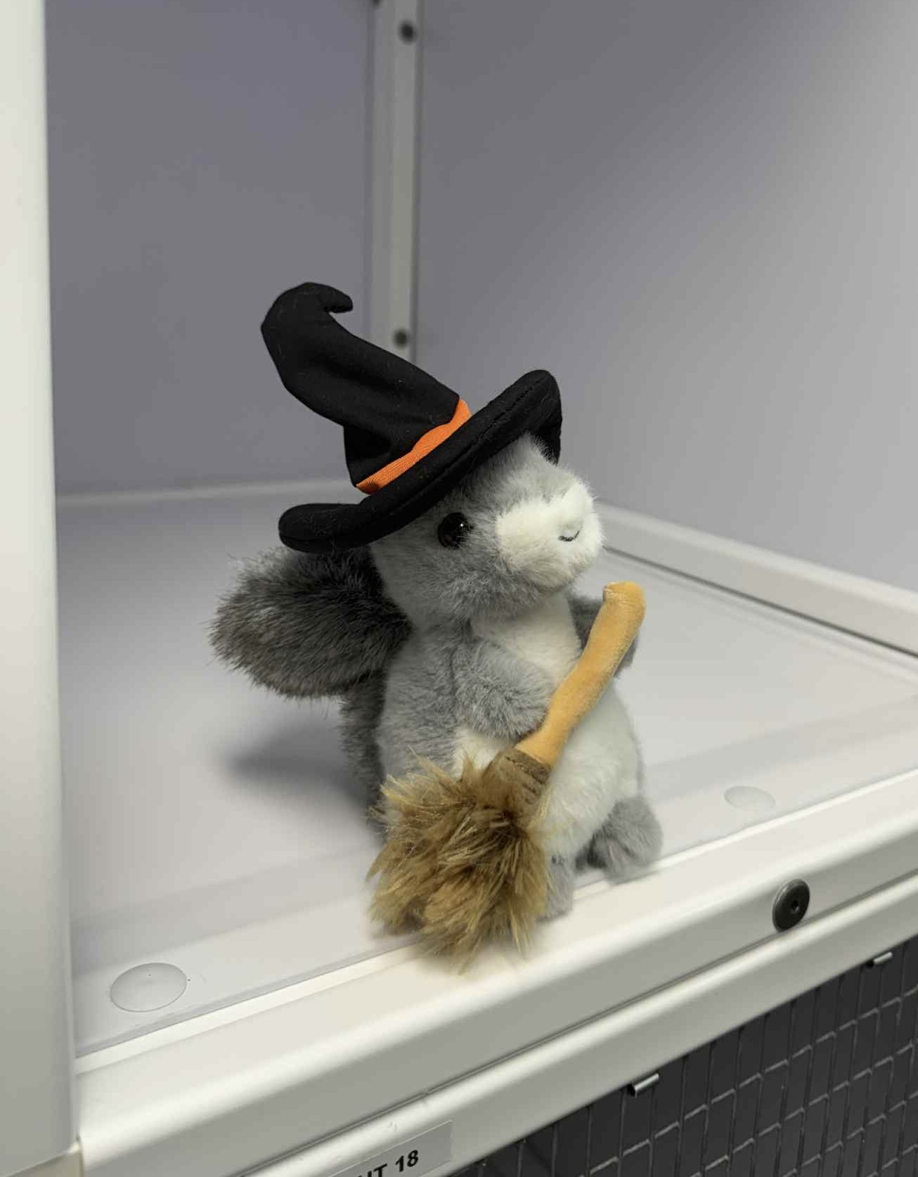  Halloween Squirrel 