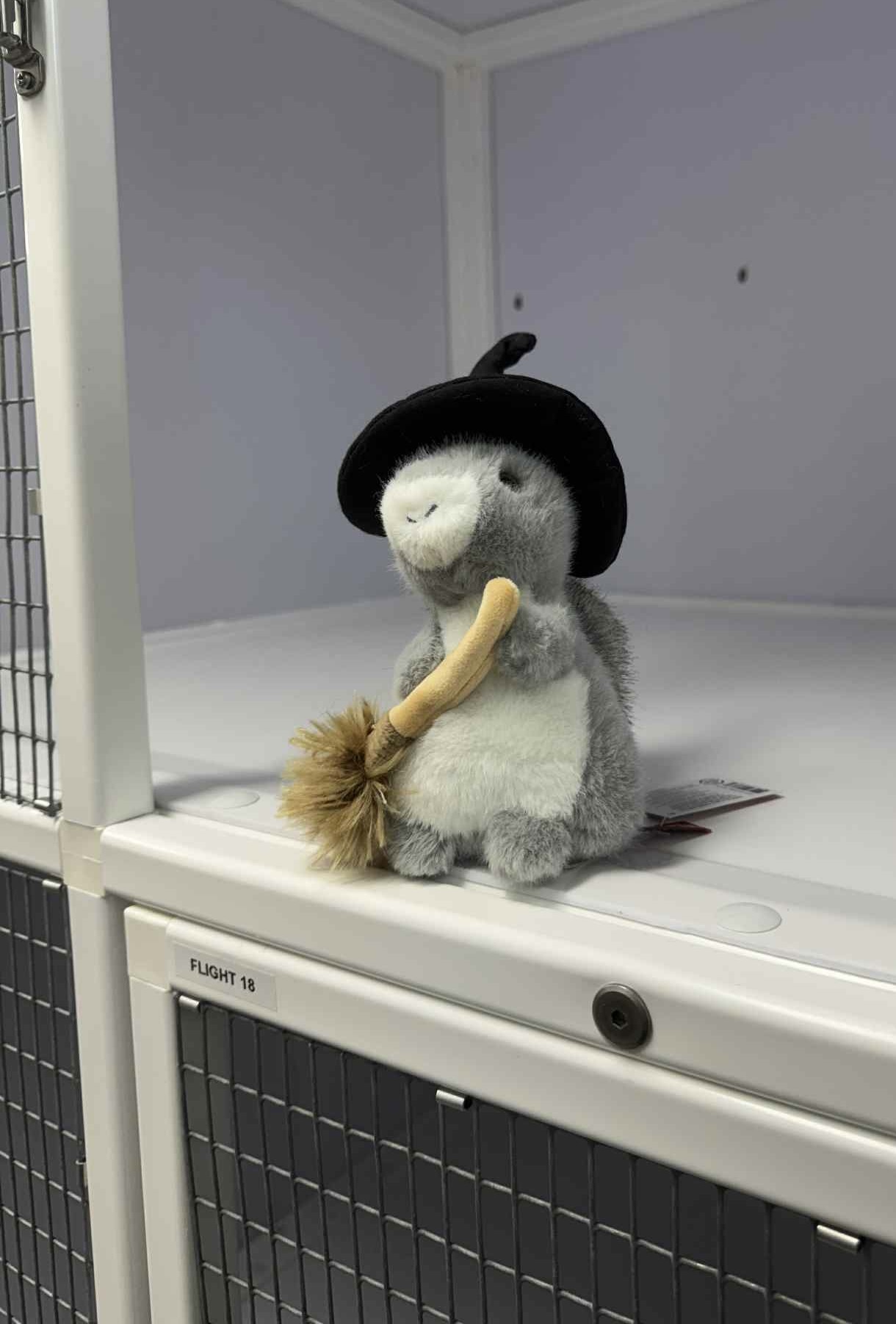  Halloween Squirrel 