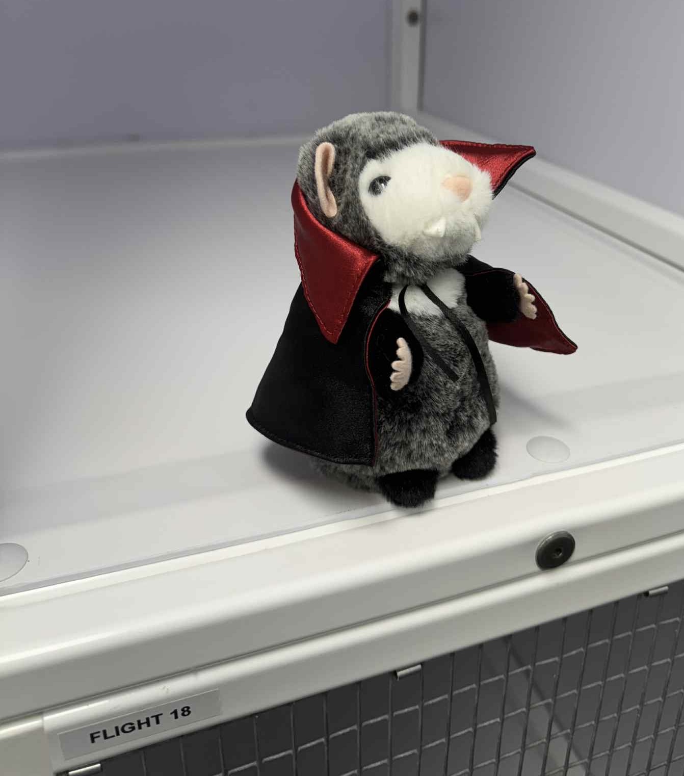 Halloween Opossum