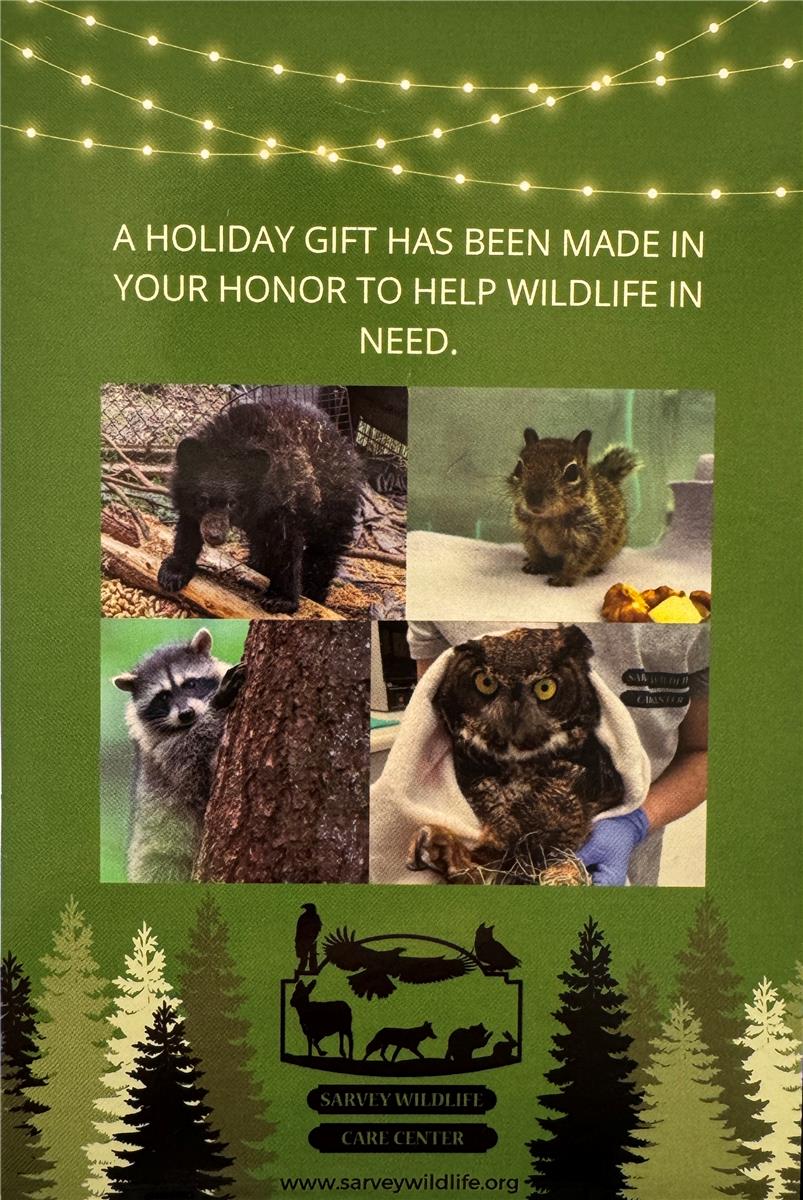 Donation Gift Card Inserts