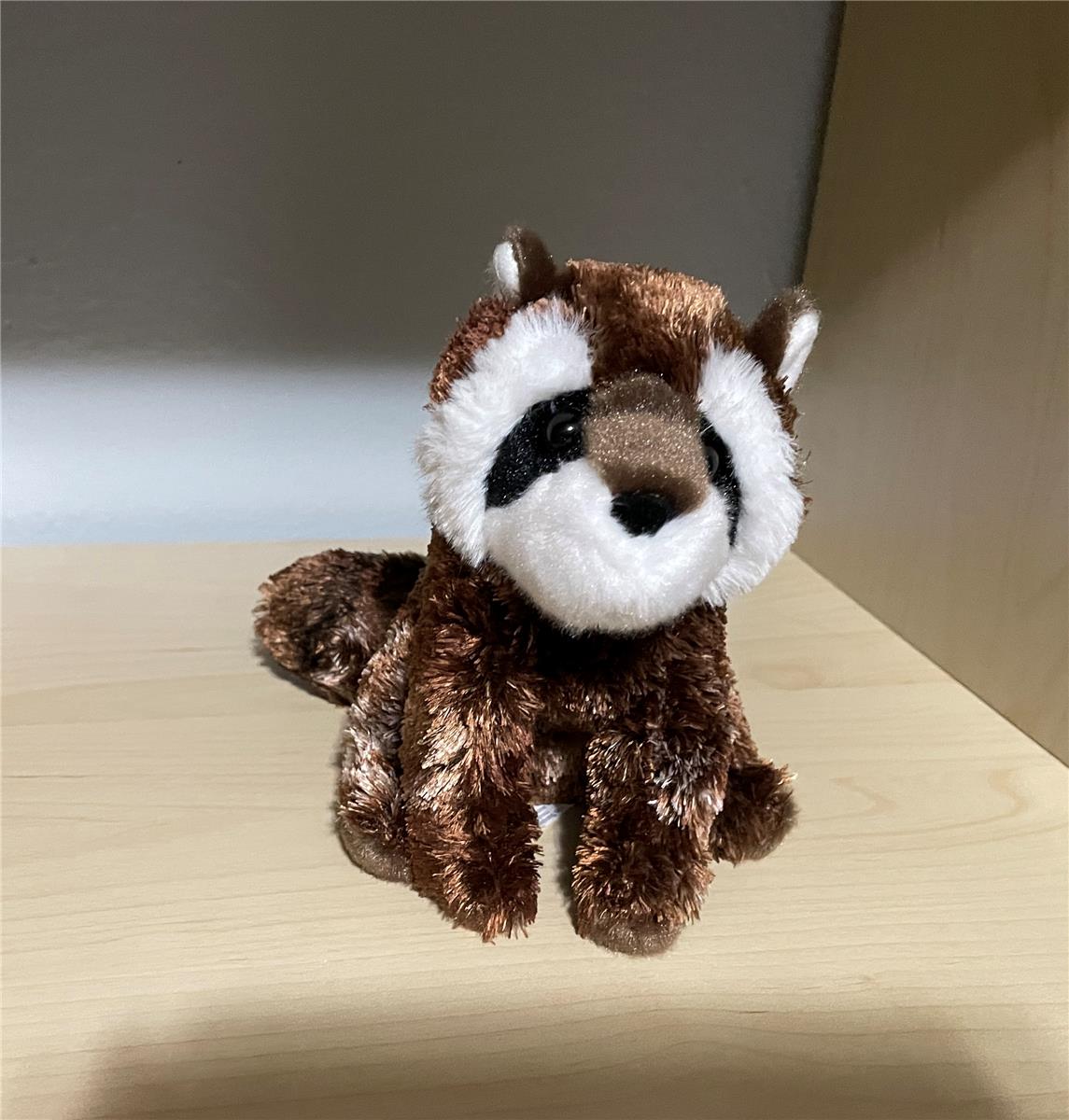 Baby Raccoon